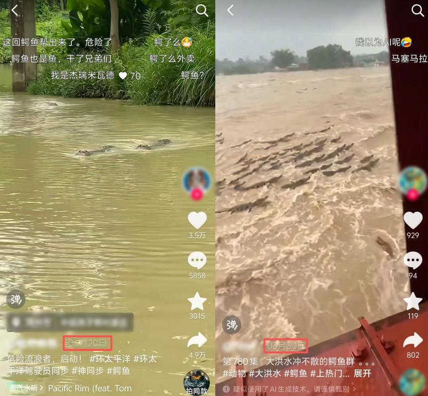 官方辟谣!“广西洪涝有鳄鱼逃出” 系旧闻嫁接 官方辟谣!“广西洪涝有鳄鱼逃出” 系旧闻嫁接