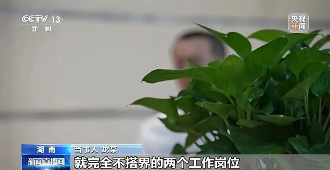 突然被公司调去养猪？工资待遇不变！男子不干了！法院判决