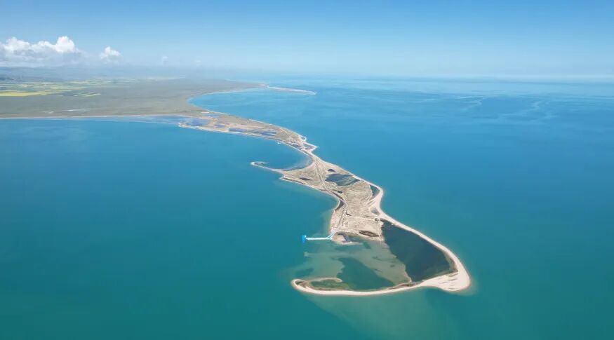 从青岛到青海湖,跨越2000公里,为什么海鸥一模一样? 从青岛到青海湖,跨越2000公里,为什么海鸥一模一样?
