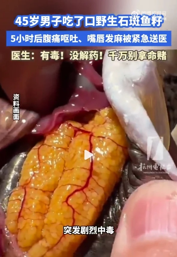 这种鱼别乱吃!颜色越深,毒性越强 这种鱼别乱吃!颜色越深,毒性越强