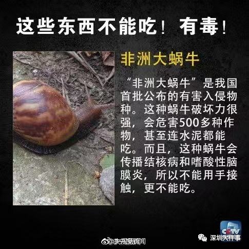 这种鱼别乱吃!颜色越深,毒性越强 这种鱼别乱吃!颜色越深,毒性越强