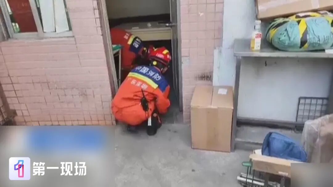 吓出冷汗!大蛇藏身于沙发缝隙,消防员精准抓捕 吓出冷汗!大蛇藏身于沙发缝隙,消防员精准抓捕