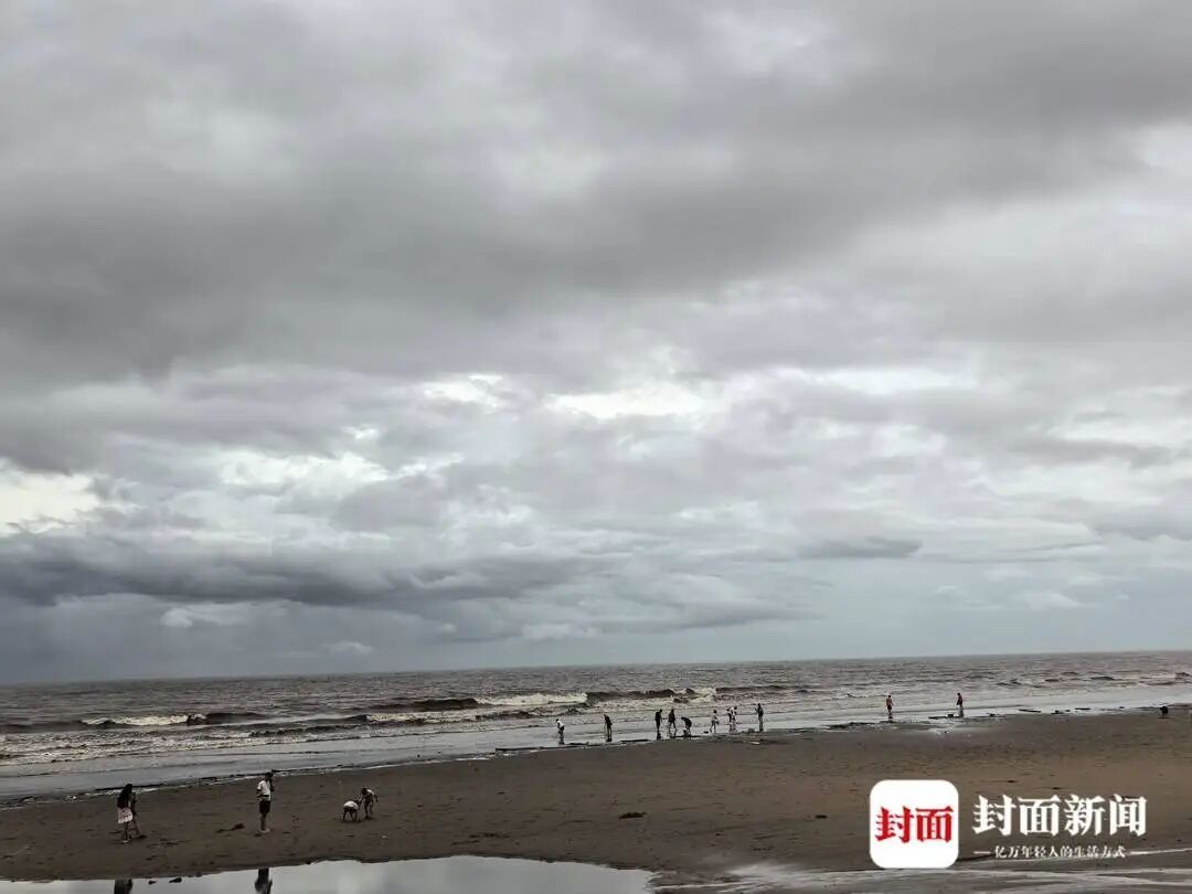 台风“美莎克”重创广西边境小镇:养殖户6000亩养殖基地被海水倒灌,水产受损严重 台风“美莎克”重创广西边境小镇:养殖户6000亩养殖基地被海水倒灌,水产受损严重