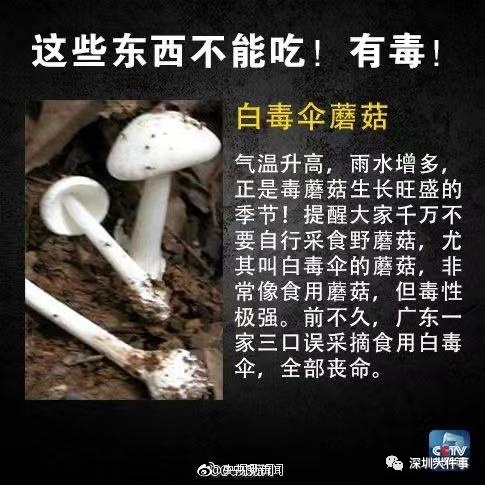 这种鱼别乱吃!颜色越深,毒性越强 这种鱼别乱吃!颜色越深,毒性越强
