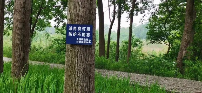 遭遇洪涝,这些疾病要警惕! 遭遇洪涝,这些疾病要警惕!