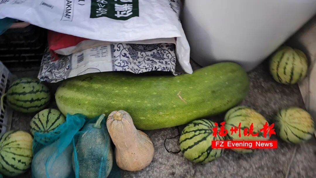 “抱冬瓜睡觉”突然走红!福州医生紧急提醒:有用!但不是人人都适合 “抱冬瓜睡觉”突然走红!福州医生紧急提醒:有用!但不是人人都适合