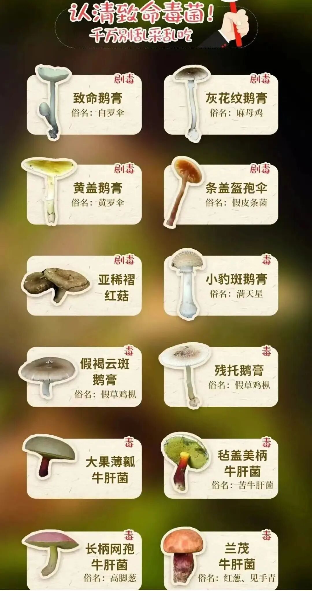 不要捡!不要吃!雨后大量出现 不要捡!不要吃!雨后大量出现