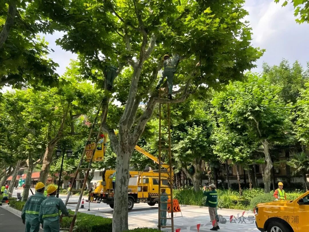 台风“巴威”越来越近,上海织密防御网络 台风“巴威”越来越近,上海织密防御网络