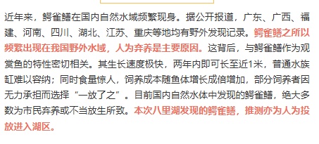 安徽一地现鳄雀鳝,系外来入侵物种! 安徽一地现鳄雀鳝,系外来入侵物种!