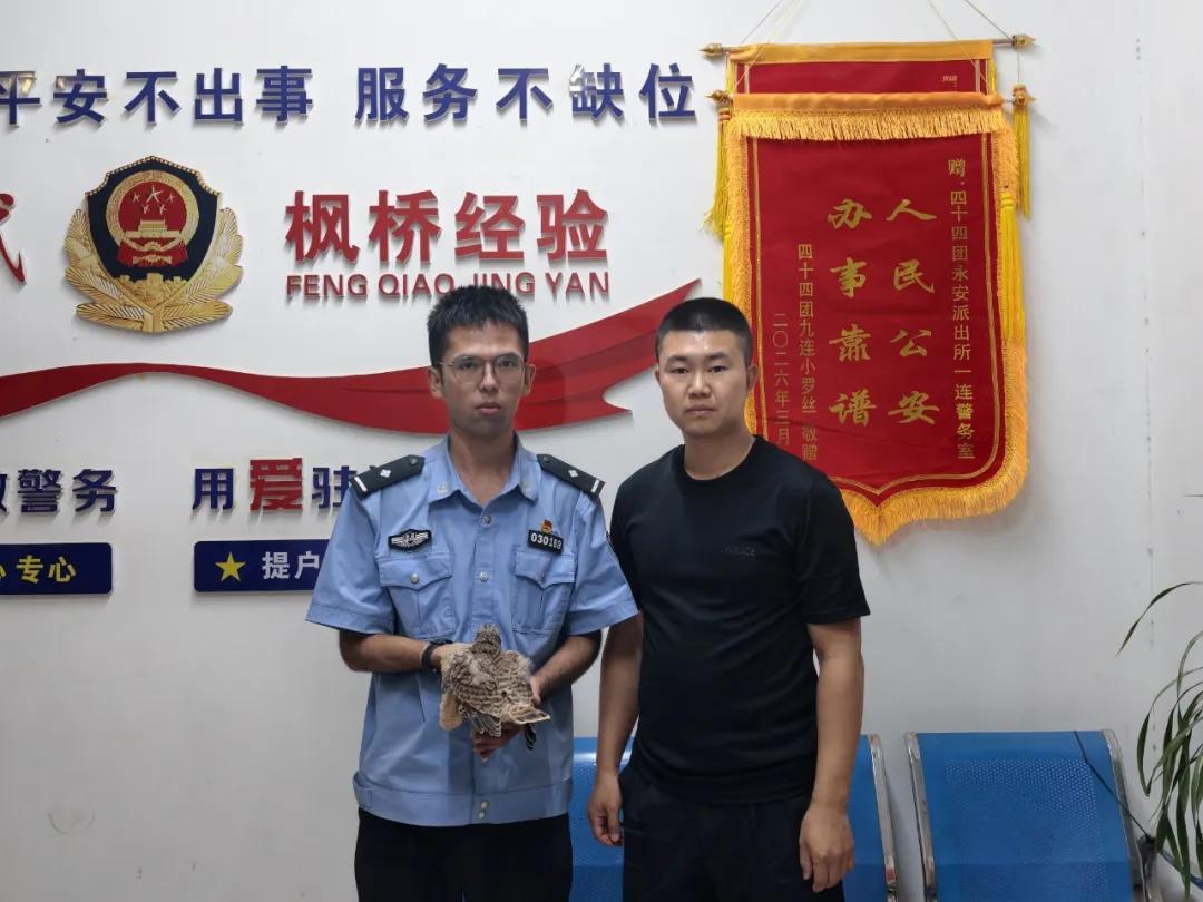 棕尾鵟不“狂”,红隼不“损”,它们都懂“有困难找警察”! 棕尾鵟不“狂”,红隼不“损”,它们都懂“有困难找警察”!