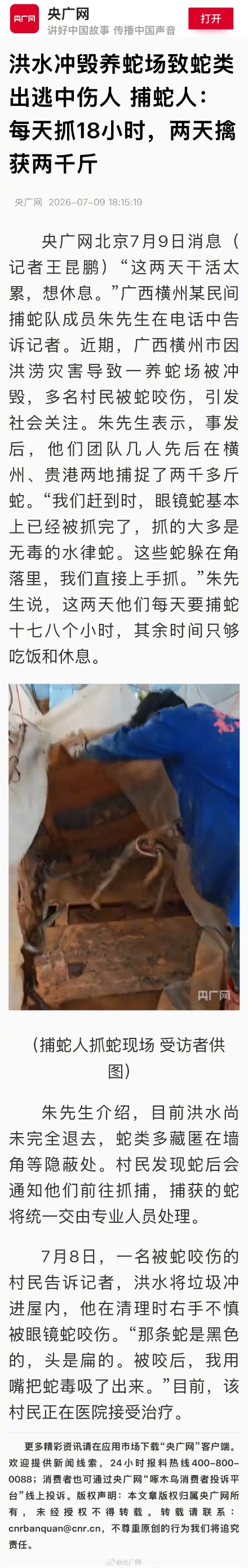 广西捕蛇人2天擒获两千斤蛇 广西捕蛇人2天擒获两千斤蛇