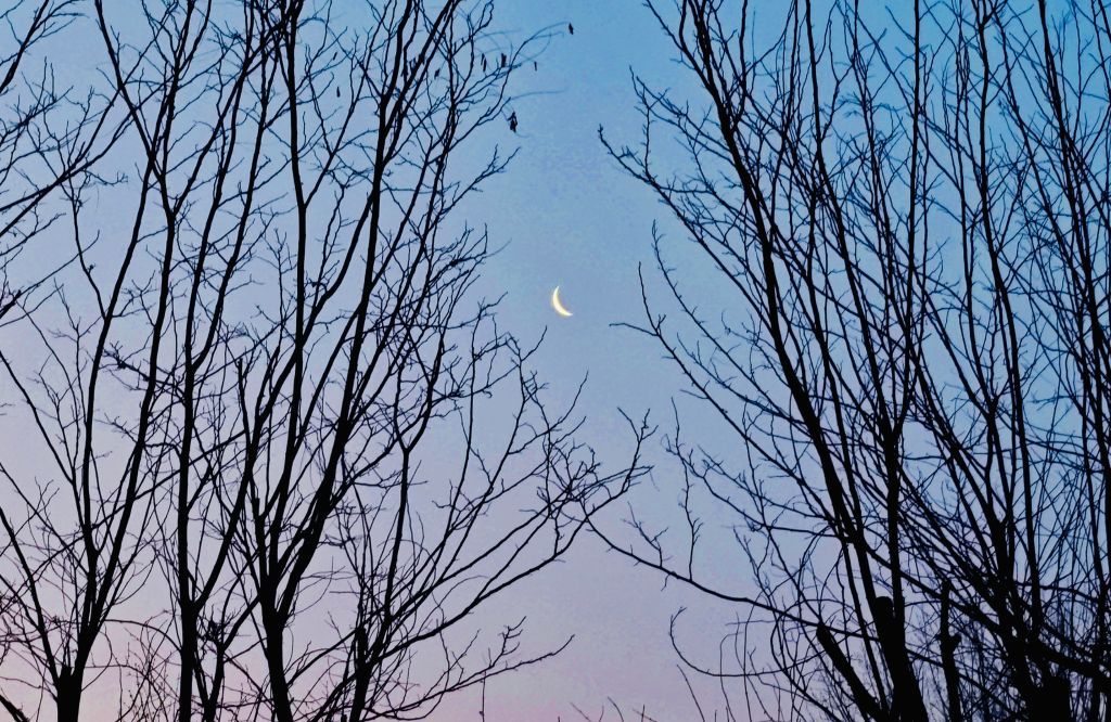 本年度观测条件最好的月伴昴星团将现身夜空 本年度观测条件最好的月伴昴星团将现身夜空