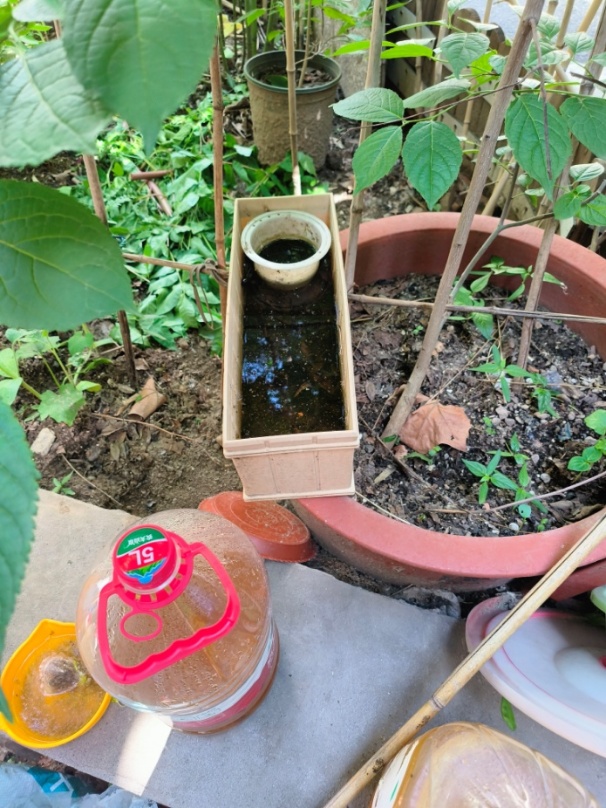 北京市疾控中心专家:防蚊灭蚊,这两类人需要重点保护 北京市疾控中心专家:防蚊灭蚊,这两类人需要重点保护