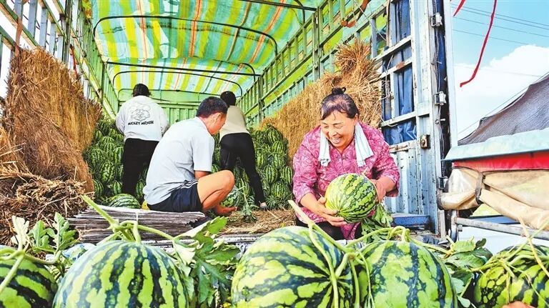 网传几分钱一斤?揭秘河南西瓜价差真相 网传几分钱一斤?揭秘河南西瓜价差真相