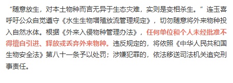 安徽一地现鳄雀鳝,系外来入侵物种! 安徽一地现鳄雀鳝,系外来入侵物种!