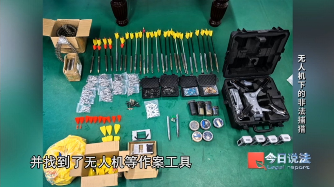 用无人机高空投放金属利箭,非法猎捕7头野猪获刑…… 用无人机高空投放金属利箭,非法猎捕7头野猪获刑……