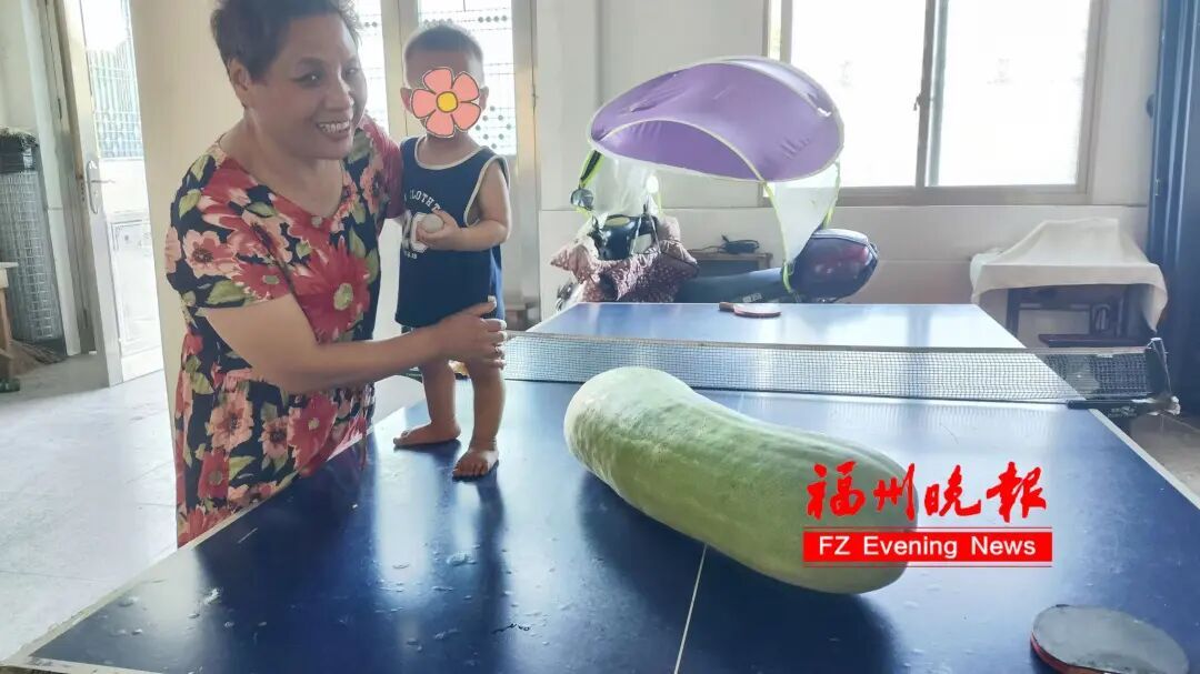 “抱冬瓜睡觉”突然走红!福州医生紧急提醒:有用!但不是人人都适合 “抱冬瓜睡觉”突然走红!福州医生紧急提醒:有用!但不是人人都适合