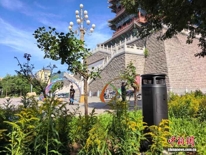 北京首个“无蚊害公园”试点落地门头沟 单日捕捉蚊虫两万余只 北京首个“无蚊害公园”试点落地门头沟 单日捕捉蚊虫两万余只