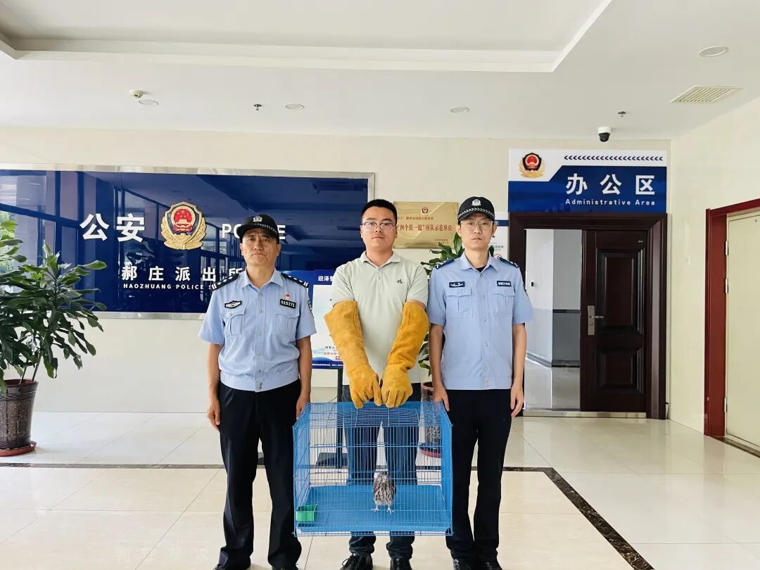 红隼“落难”求助派出所?这波操作,满分! 红隼“落难”求助派出所?这波操作,满分!