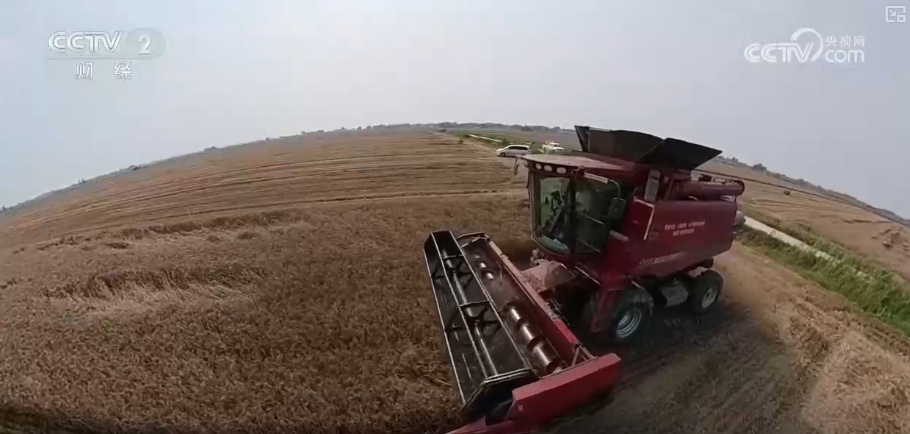 首破3000亿斤,夏粮丰收!粮食安全主动权牢牢握在自己手中 首破3000亿斤,夏粮丰收!粮食安全主动权牢牢握在自己手中
