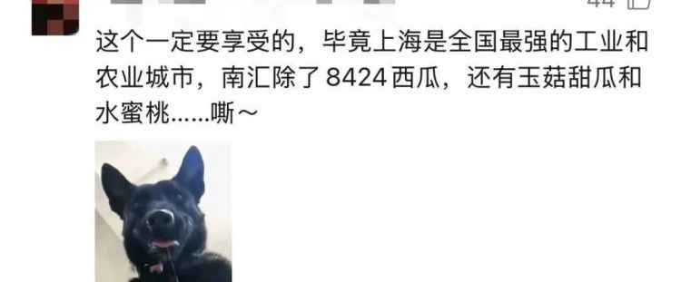 上海竟有两条“海潮路”?司机委屈,阿姨懵圈,最后在派出所里“吃瓜”吃出了真相! 上海竟有两条“海潮路”?司机委屈,阿姨懵圈,最后在派出所里“吃瓜”吃出了真相!