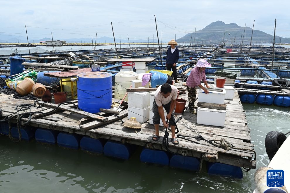 防御台风“巴威” 福建宁德转移海上人员 防御台风“巴威” 福建宁德转移海上人员