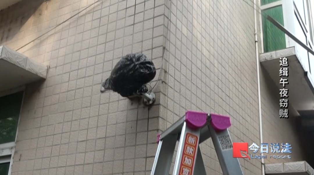 私人博物馆400多件藏品一夜被盗,现场痕迹被抹掉…… 私人博物馆400多件藏品一夜被盗,现场痕迹被抹掉……