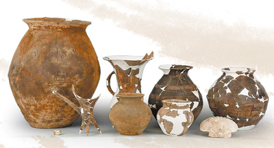 一只3700年前的小扇贝,成了博物馆“明星”展品 一只3700年前的小扇贝,成了博物馆“明星”展品