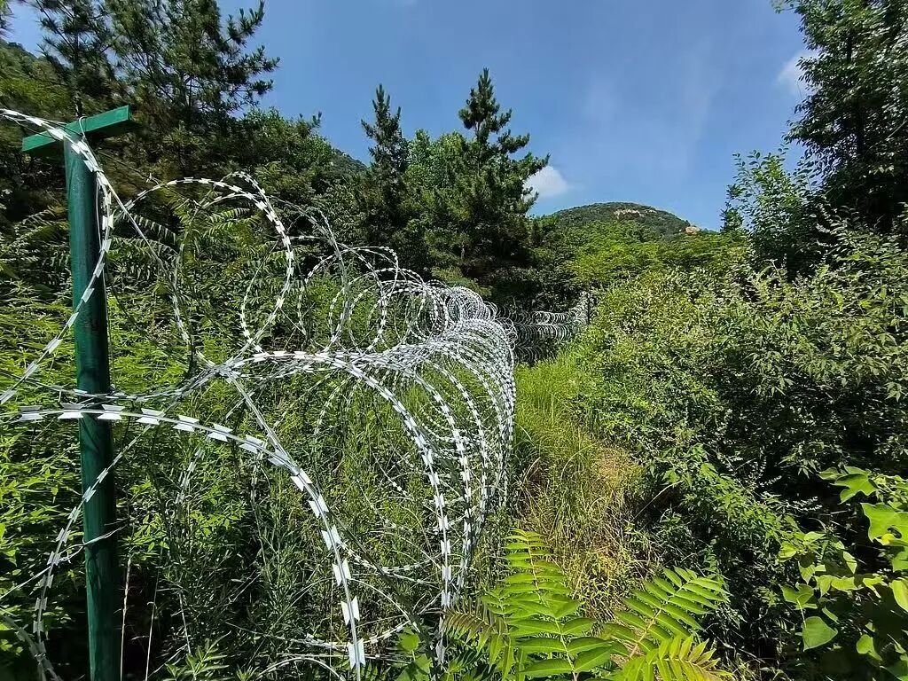 泰山景区：现有刀片式隔离网将拆除或替代