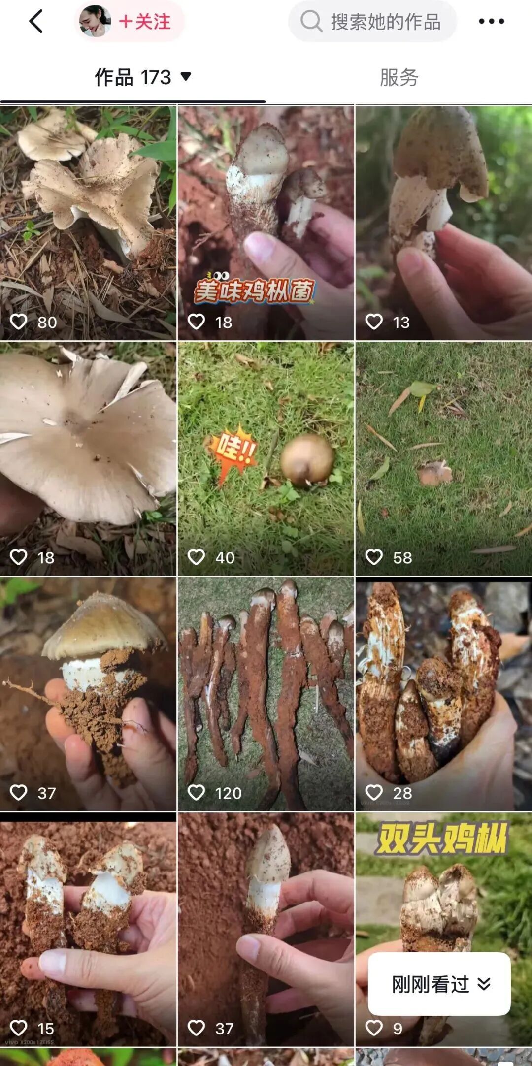 羡慕!一女子在河边捡到50多窝鸡枞,已连续三年有收获 羡慕!一女子在河边捡到50多窝鸡枞,已连续三年有收获