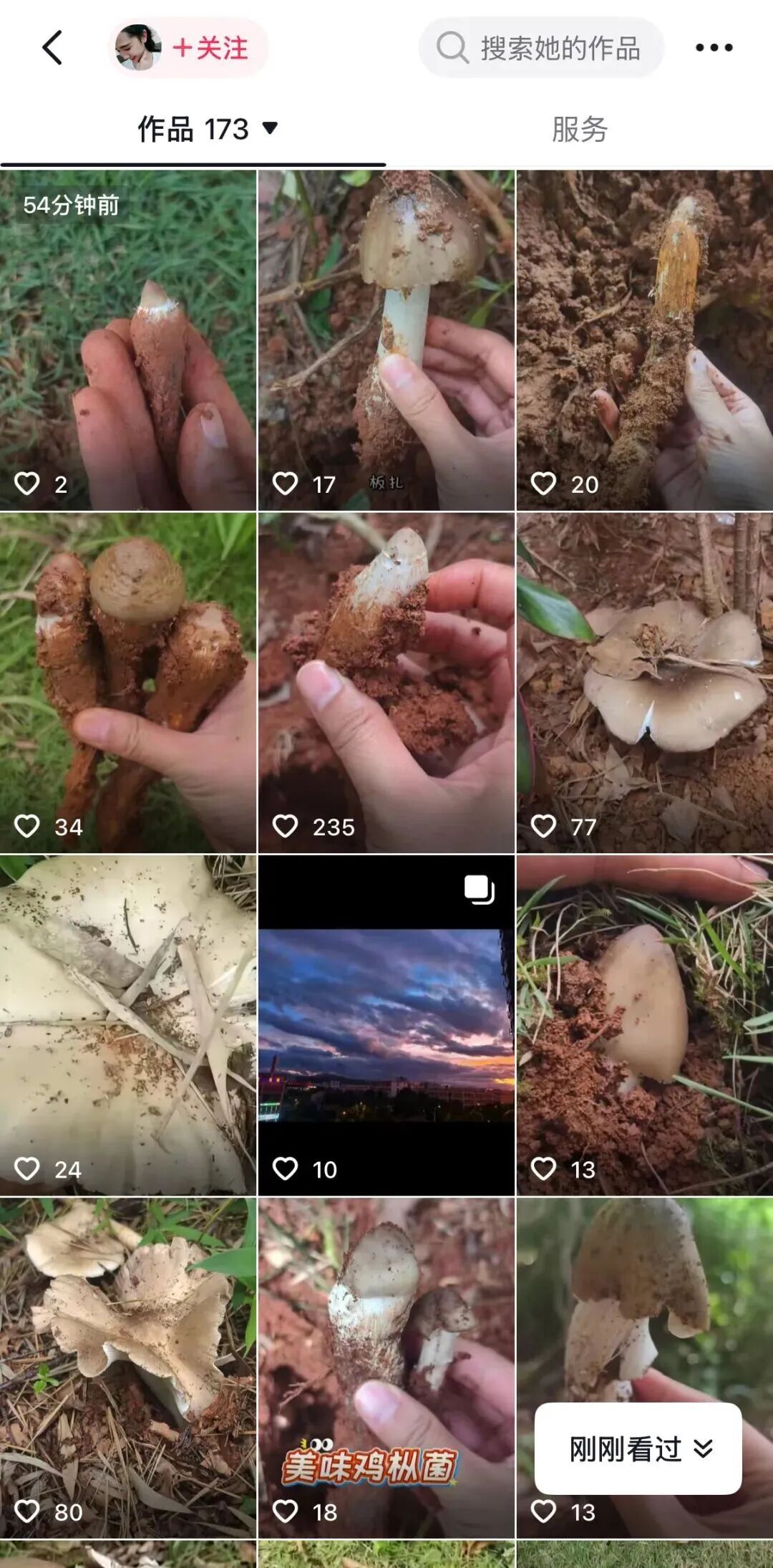 羡慕!一女子在河边捡到50多窝鸡枞,已连续三年有收获 羡慕!一女子在河边捡到50多窝鸡枞,已连续三年有收获