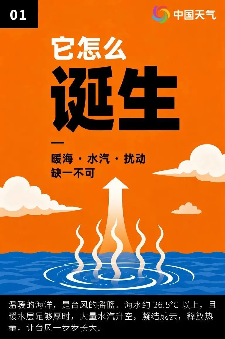 “巴威”直奔山东,13日起暴雨大风上线 “巴威”直奔山东,13日起暴雨大风上线