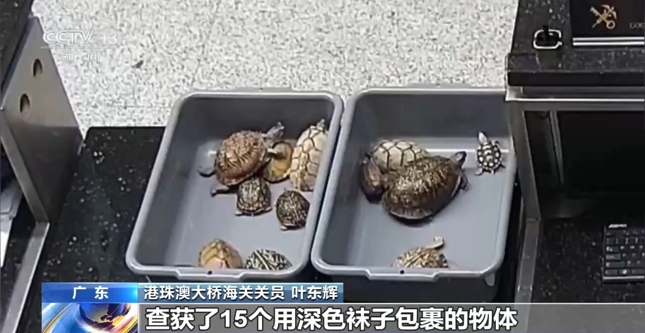 多地海关接连查获走私案 毒品藏身饮料和胶囊被拦截 多地海关接连查获走私案 毒品藏身饮料和胶囊被拦截