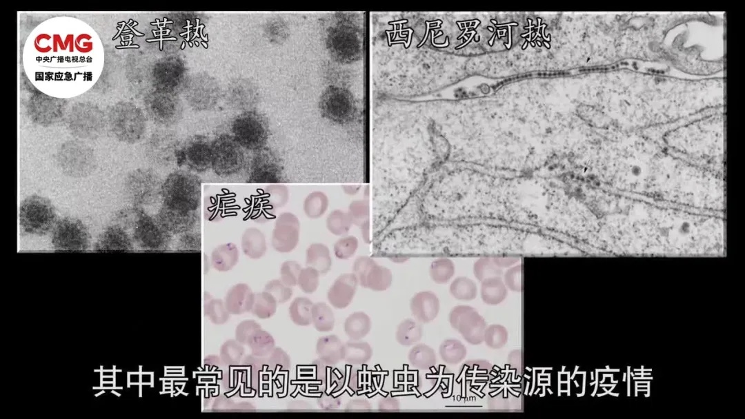 台风“巴威”逼近！多地或有大暴雨、特大暴雨！这些应急避险知识请转发给家人→