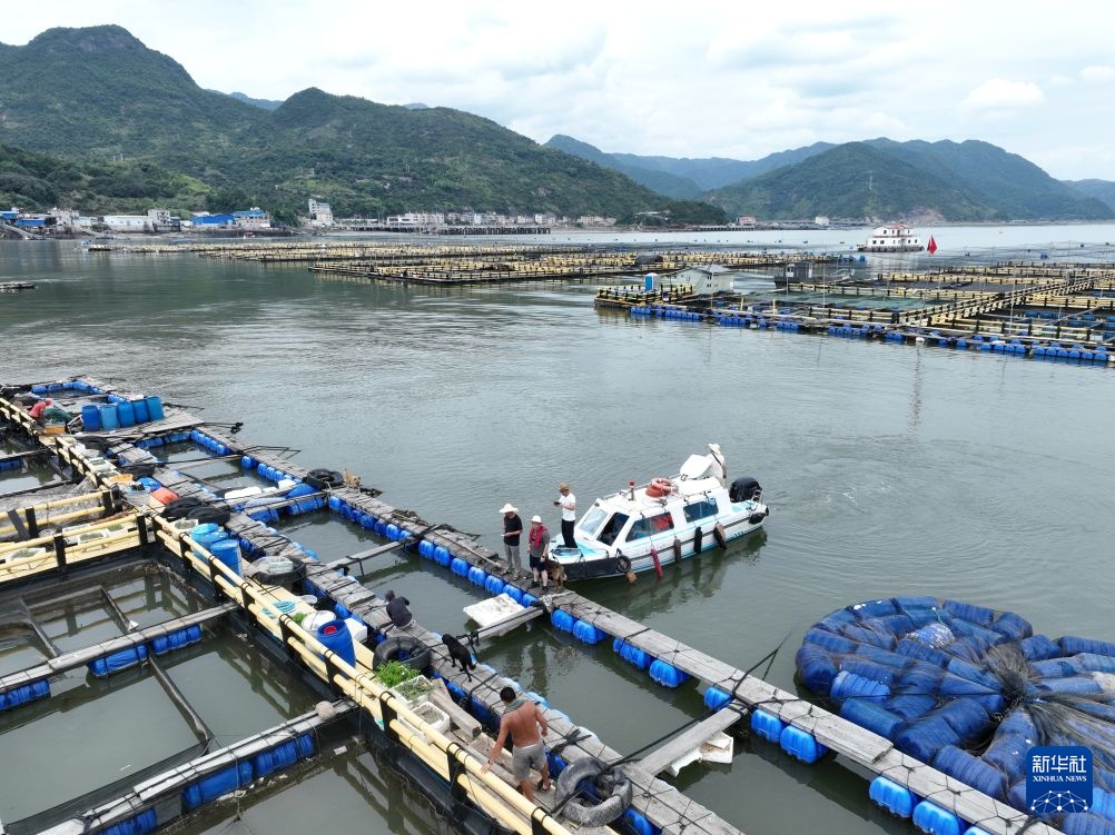 防御台风“巴威” 福建宁德转移海上人员 防御台风“巴威” 福建宁德转移海上人员