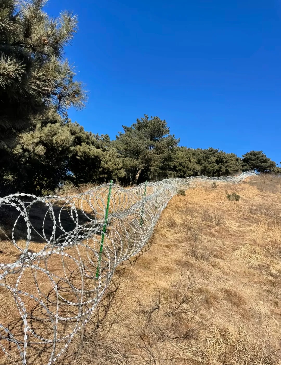 山东泰安市委、市政府明确:将泰山景区现有刀片式隔离网,分区域、分时段拆除或替代 山东泰安市委、市政府明确:将泰山景区现有刀片式隔离网,分区域、分时段拆除或替代