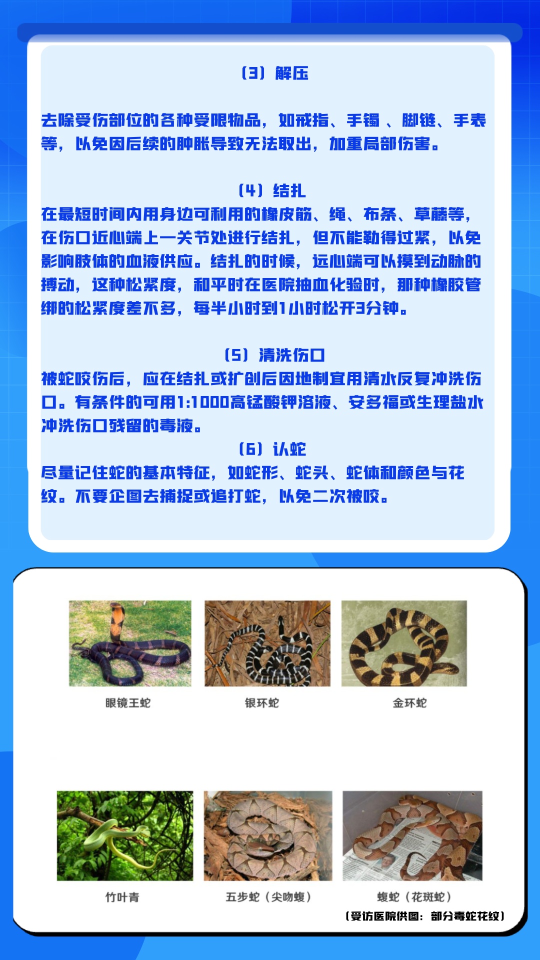 每天捕蛇十七八个小时!广西横州捕蛇者:抓了两千多斤 每天捕蛇十七八个小时!广西横州捕蛇者:抓了两千多斤