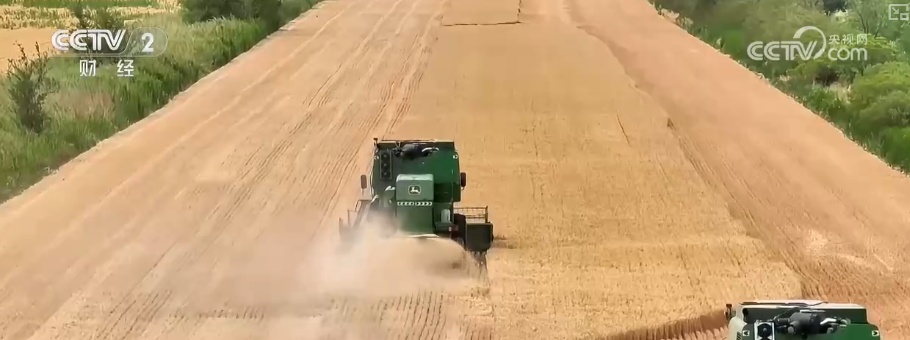 首破3000亿斤,夏粮丰收!粮食安全主动权牢牢握在自己手中 首破3000亿斤,夏粮丰收!粮食安全主动权牢牢握在自己手中