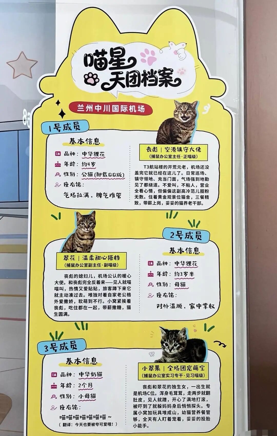 正式“收编”!兰州机场“捕鼠办”挂牌成立,三只“捕鼠官”火爆全网→ 正式“收编”!兰州机场“捕鼠办”挂牌成立,三只“捕鼠官”火爆全网→