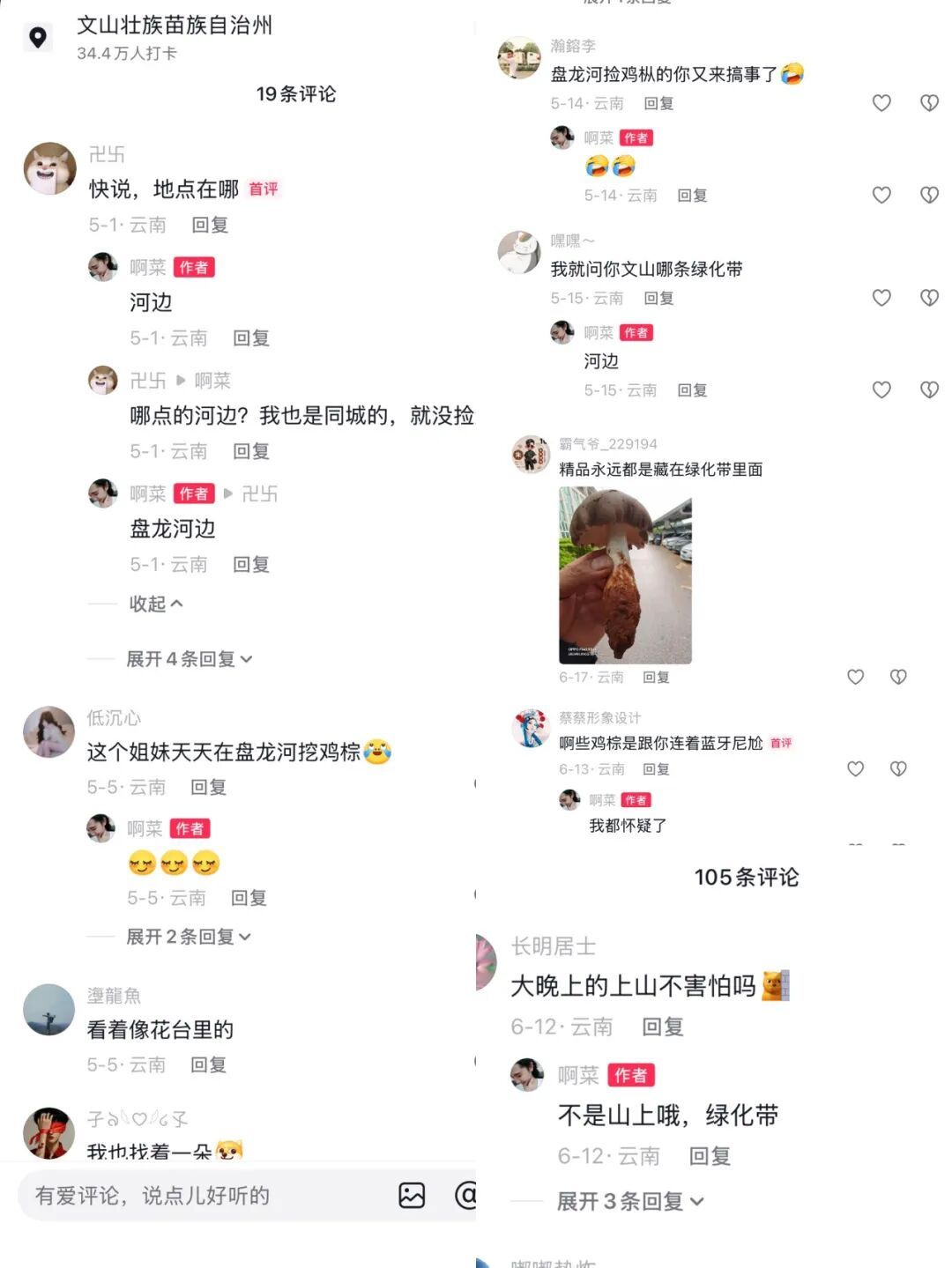 羡慕!一女子在河边捡到50多窝鸡枞,已连续三年有收获 羡慕!一女子在河边捡到50多窝鸡枞,已连续三年有收获