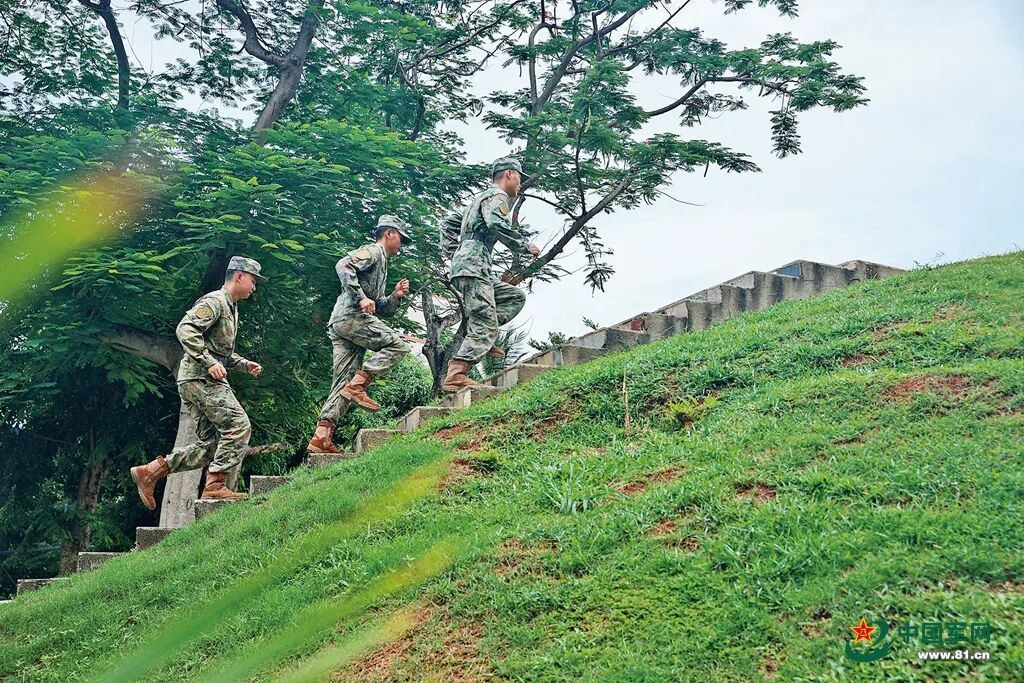 一棵老树、一部交换机、一本相册，这是独属海岛雷达兵的心海“锚地”……