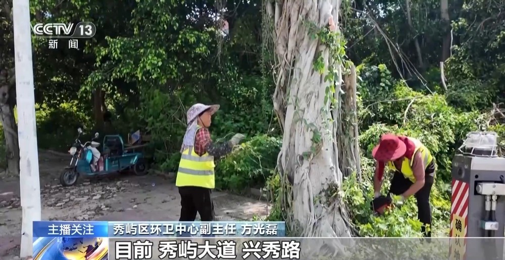 台风“巴威”来势汹汹 多地提前部署应对 台风“巴威”来势汹汹 多地提前部署应对