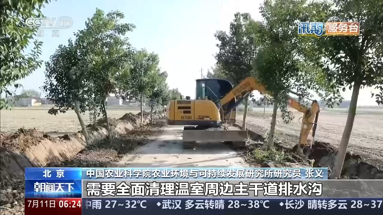 台风来袭,如何最大限度降低农业生产损失?专家提示 台风来袭,如何最大限度降低农业生产损失?专家提示