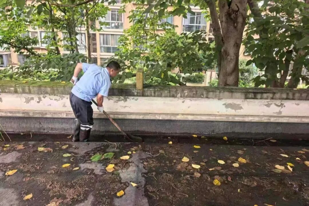迎战“巴威”！杭州机场取消航班60架次，杭州交通全域筑牢安全防线