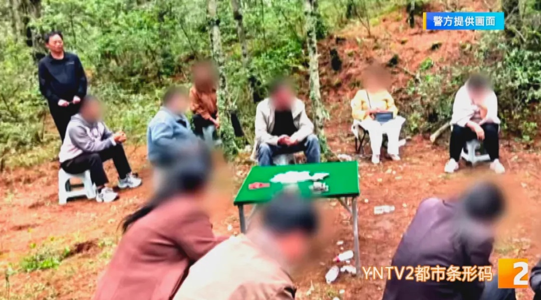 餐馆包间、深山沟谷藏猫腻!两处隐秘赌窝被端,23名赌徒纷纷落网 餐馆包间、深山沟谷藏猫腻!两处隐秘赌窝被端,23名赌徒纷纷落网