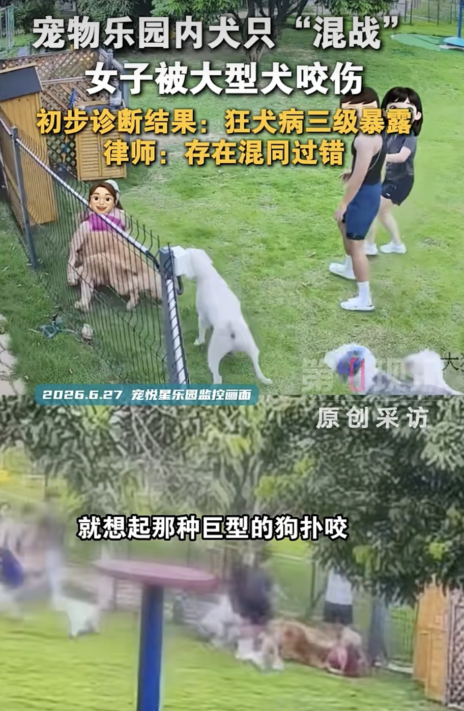 女子遭大狗撕咬，被确诊为狂犬病三级暴露！当事人称自己目前每晚都难以入睡