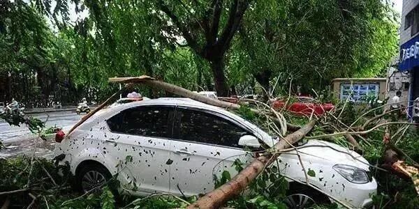 台风来袭！这份安全贴士了解一下