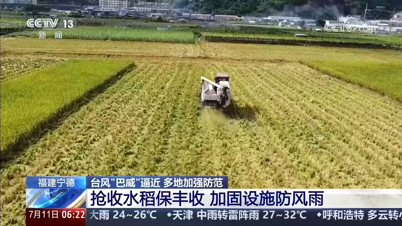 暖心安置、抢收加固 各地多措并举应对台风“巴威” 暖心安置、抢收加固 各地多措并举应对台风“巴威”