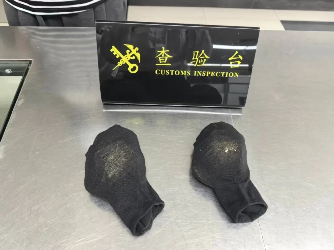 女子在内衣里塞了两只活体乌龟!被海关当场拦截! 女子在内衣里塞了两只活体乌龟!被海关当场拦截!
