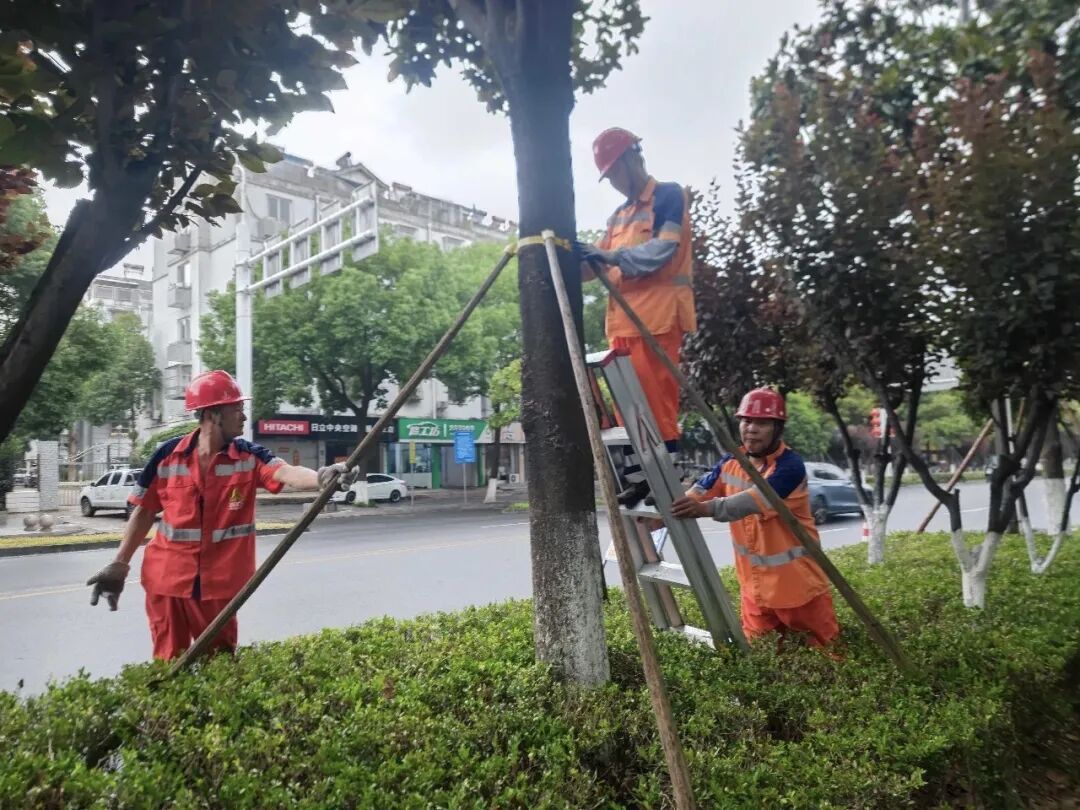 台风“巴威” 减弱至热带风暴级 !水阳江洪水预警发布,苏通大桥、崇启大桥解封 台风“巴威” 减弱至热带风暴级 !水阳江洪水预警发布,苏通大桥、崇启大桥解封